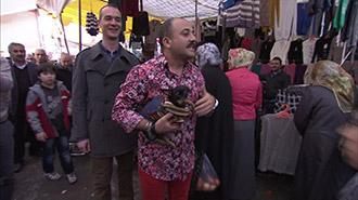 Köpeğin cinsini bilirse ödül kazanacak