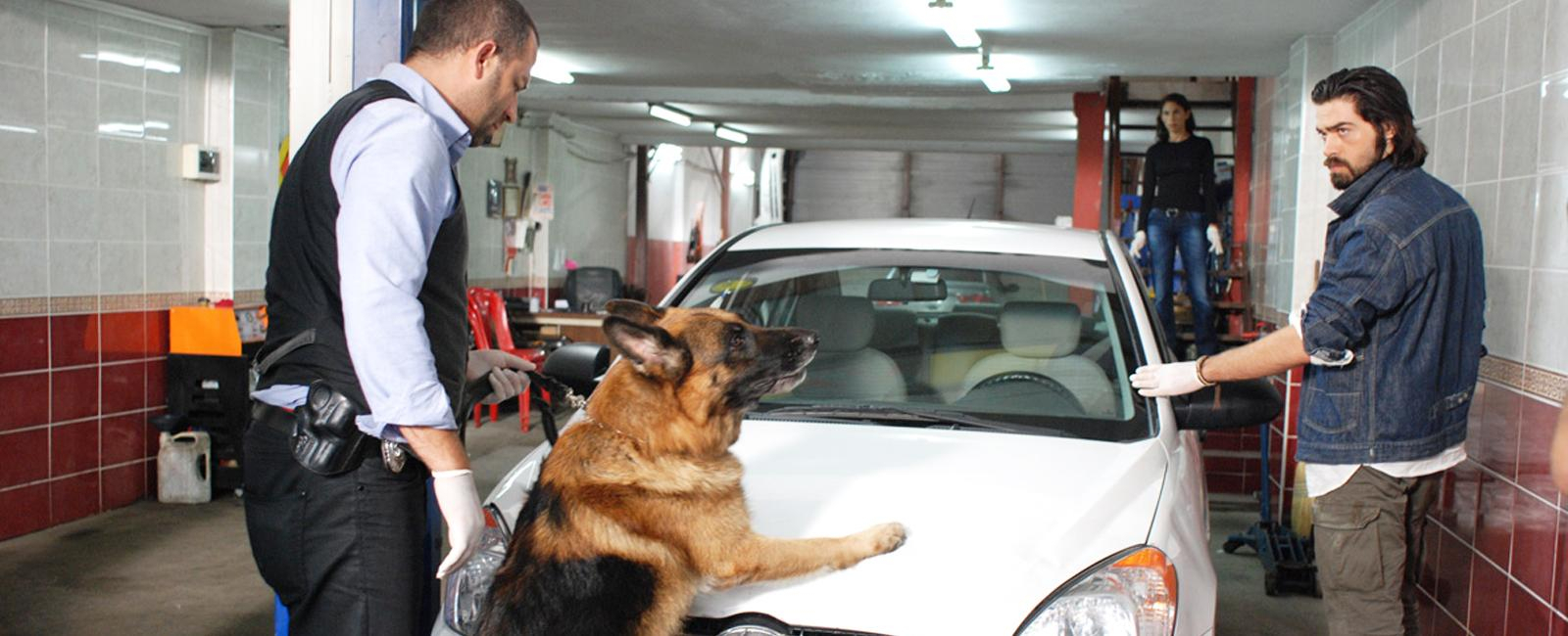 Arka Sokaklar 174. Bölüm