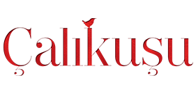 Çalıkuşu