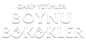Boynu Bükükler