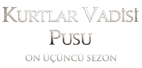 Kurtlar Vadisi Pusu