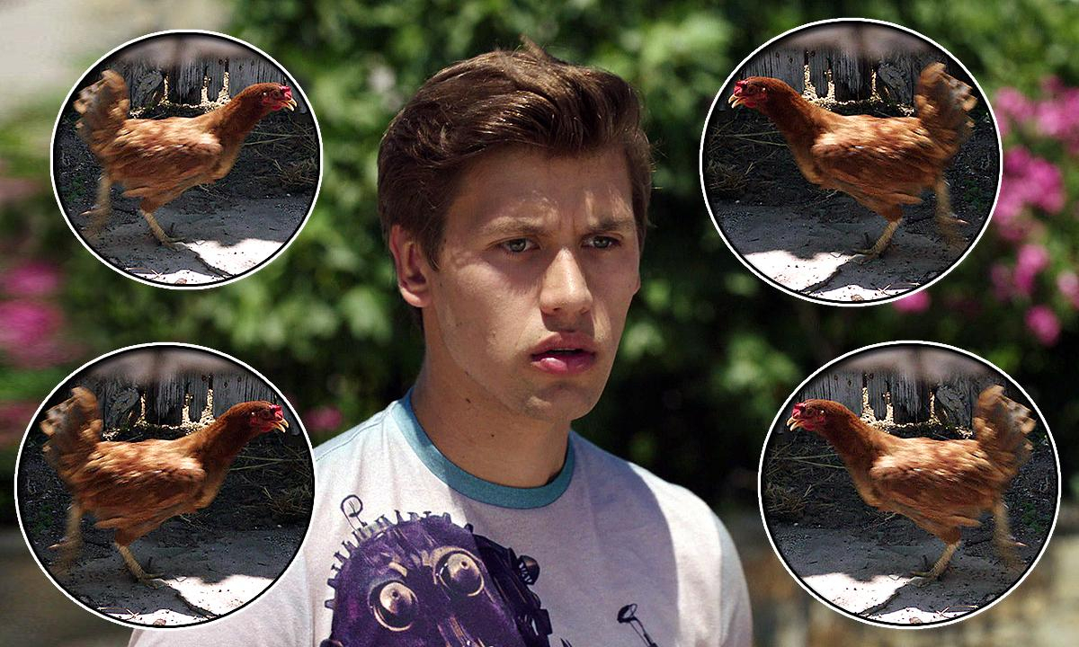 Tavuk gören masum Uzaylı!