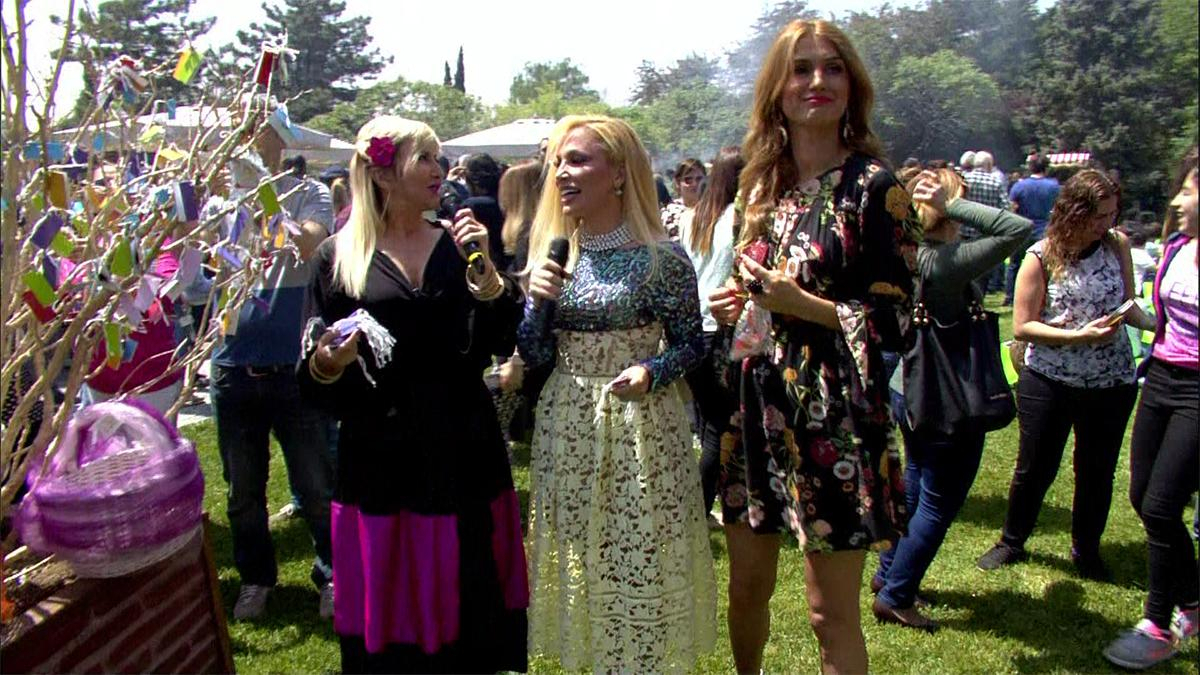 Renkli Sayfalar 255. Bölüm