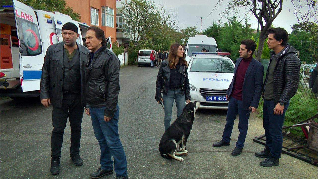 Arka Sokaklar 493. Bölüm