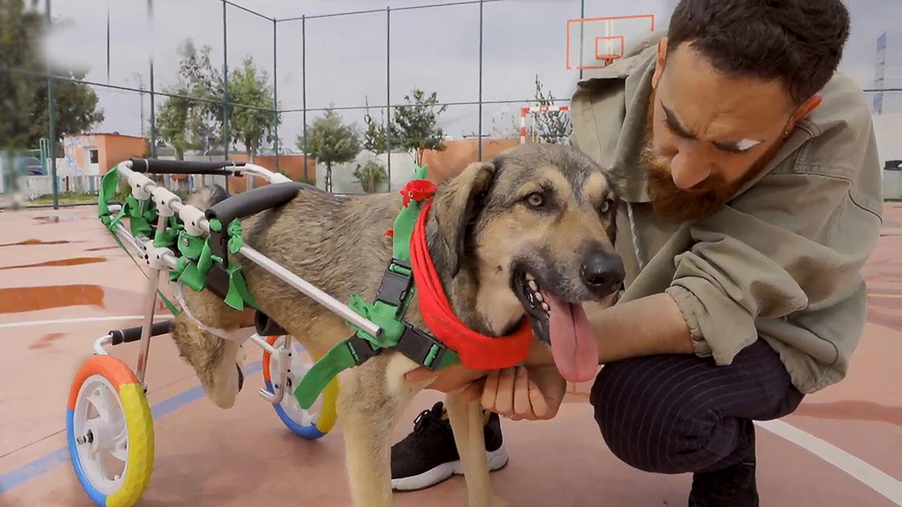 Hayat Tamircisi 1. Bölüm / 09.04.2020 