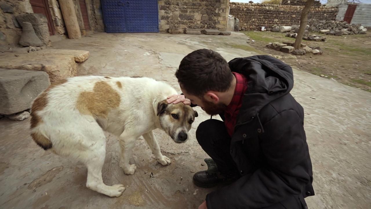 Hayat Tamircisi'nin başlangıç öyküsü!