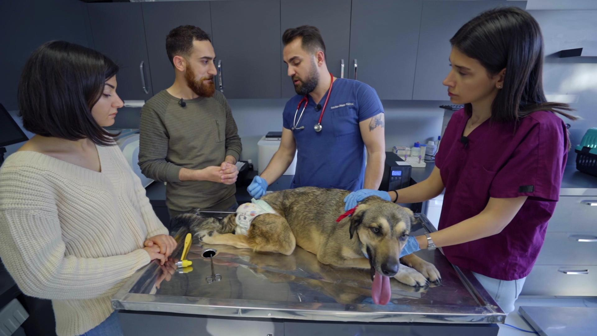 Beklenen sonuç çıkıyor!