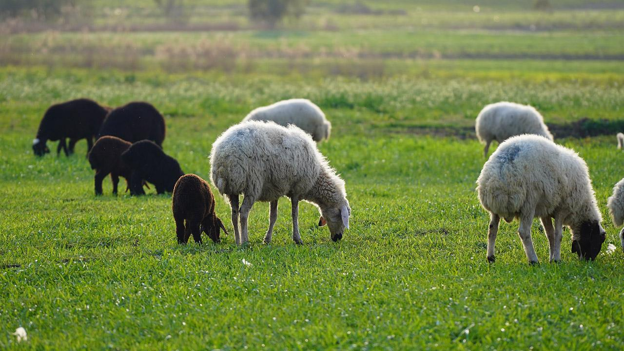 Hayat Tamircisi 2. Bölüm Fotoğrafları