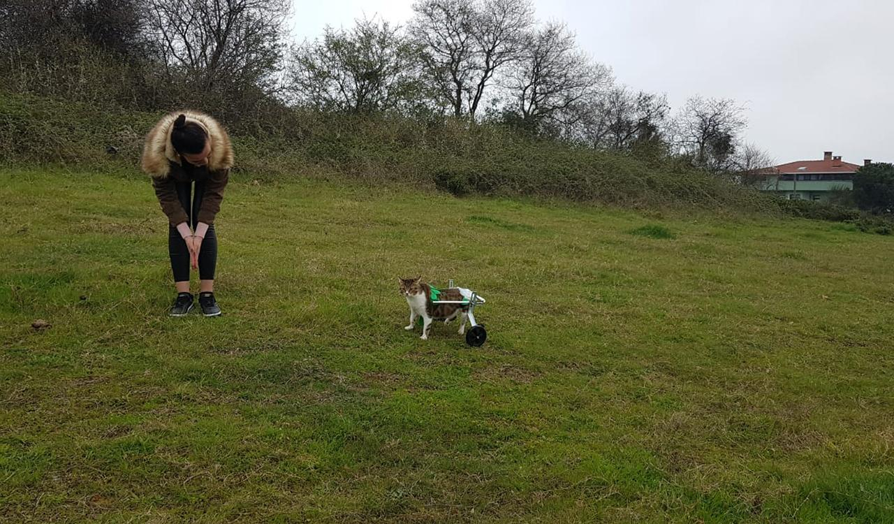 Hayat Tamircisi 3. Bölüm Fotoğrafları