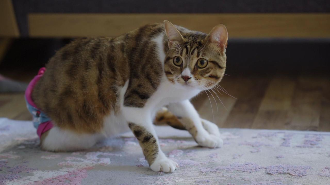 Müjgan’ın başına gelen talihsiz olay!