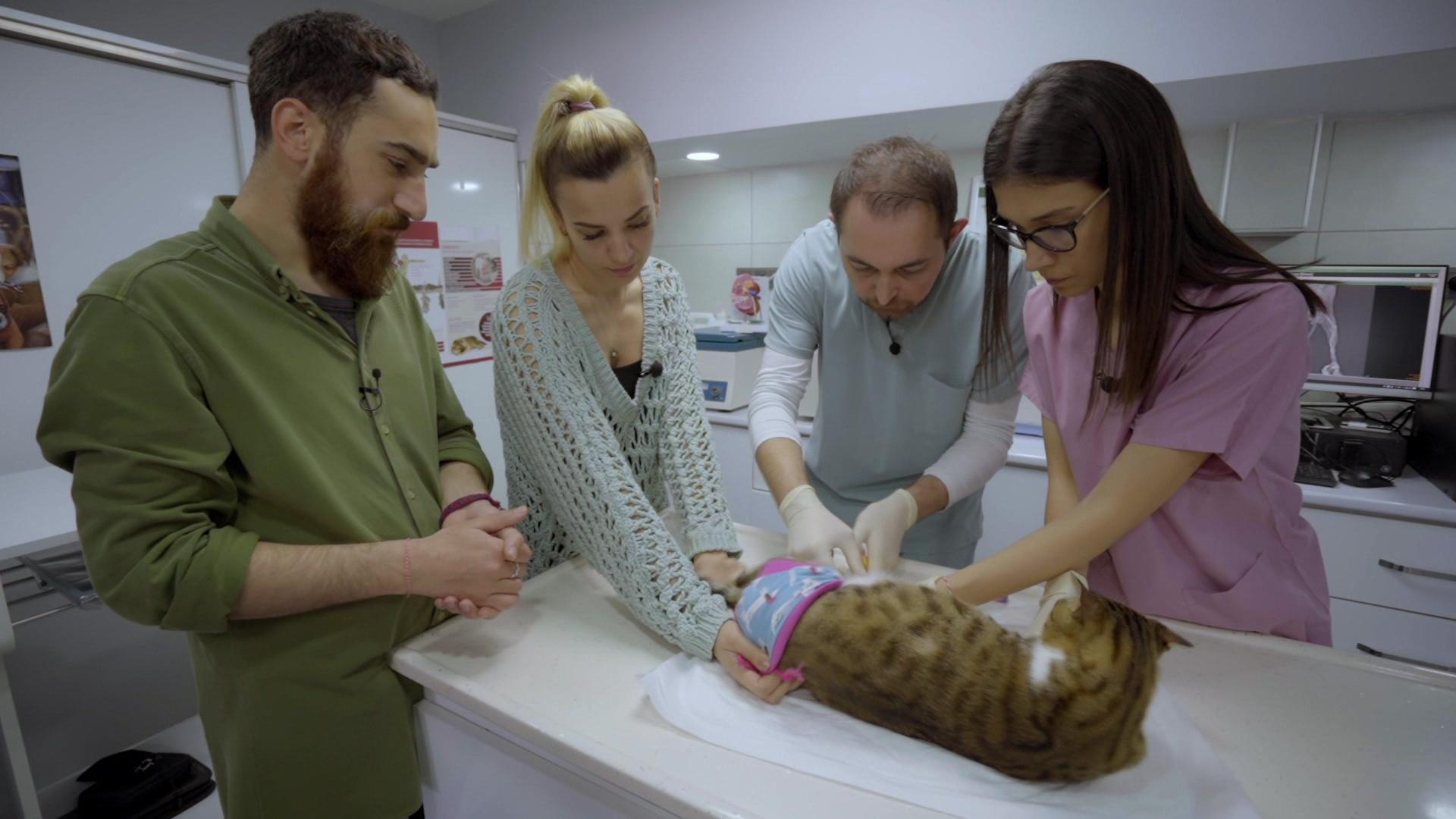 Müjgan’a yürüteç takılabilecek mi?