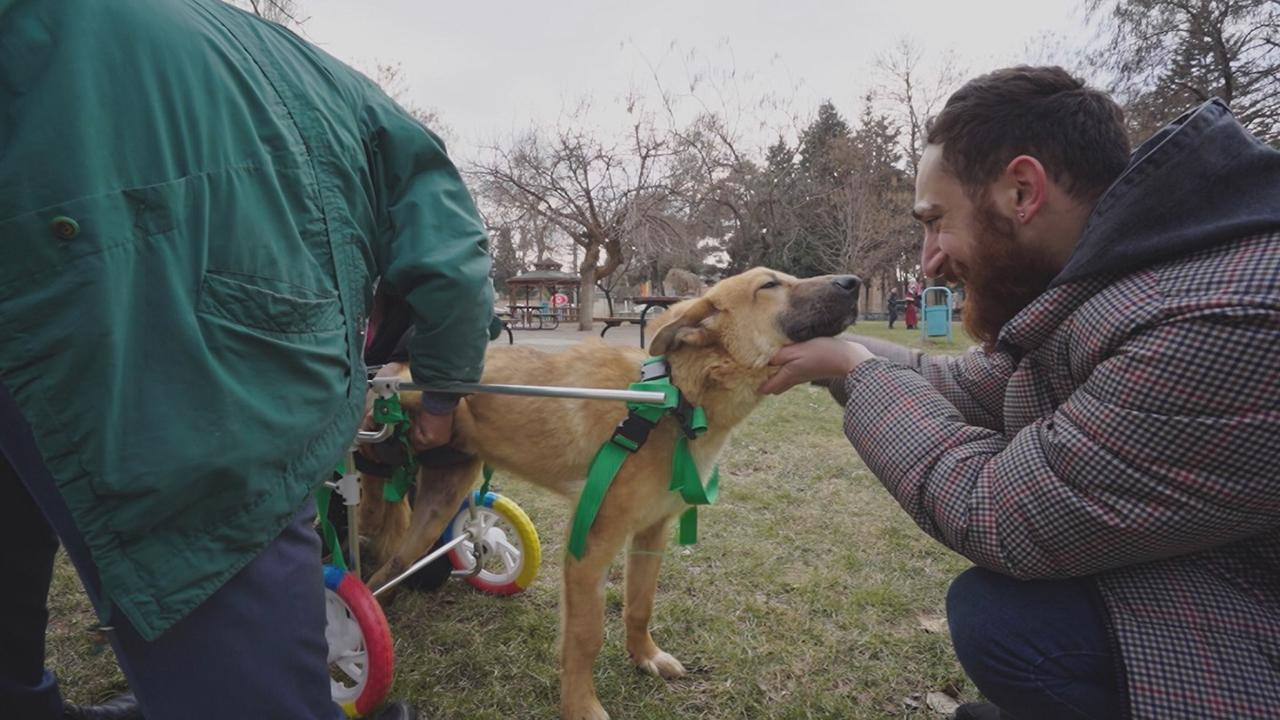 Hayat Tamircisi 4. Bölüm / 03.05.2020