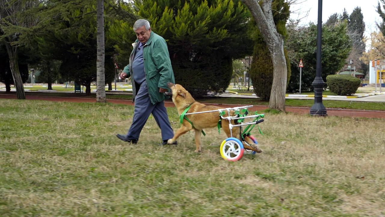 Bade, tekrar koşup oynuyor!