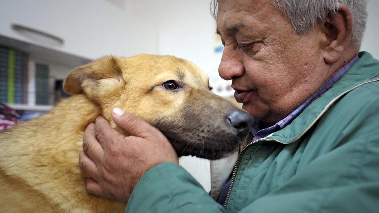 Sevimli Bade için umut dolu bekleyiş!
