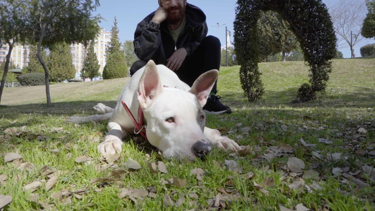 Hayat Tamircisi 6. Bölüm Fragmanı