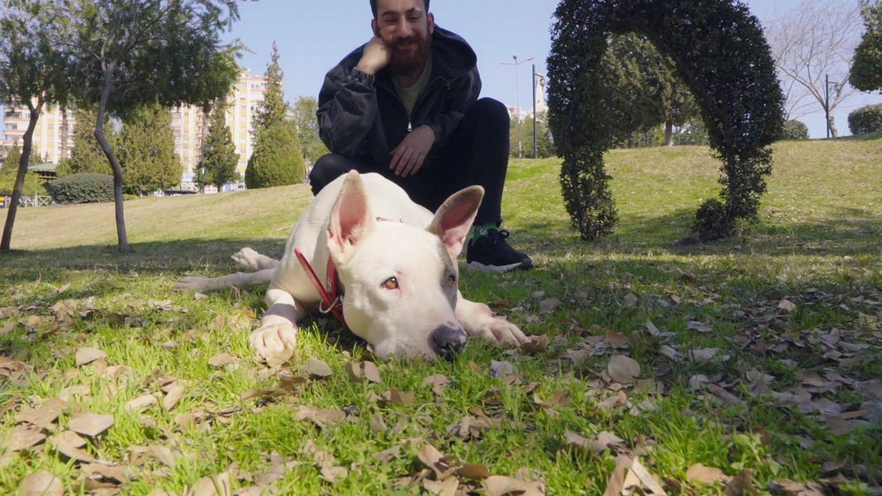 Bella'nın hazin öyküsü!