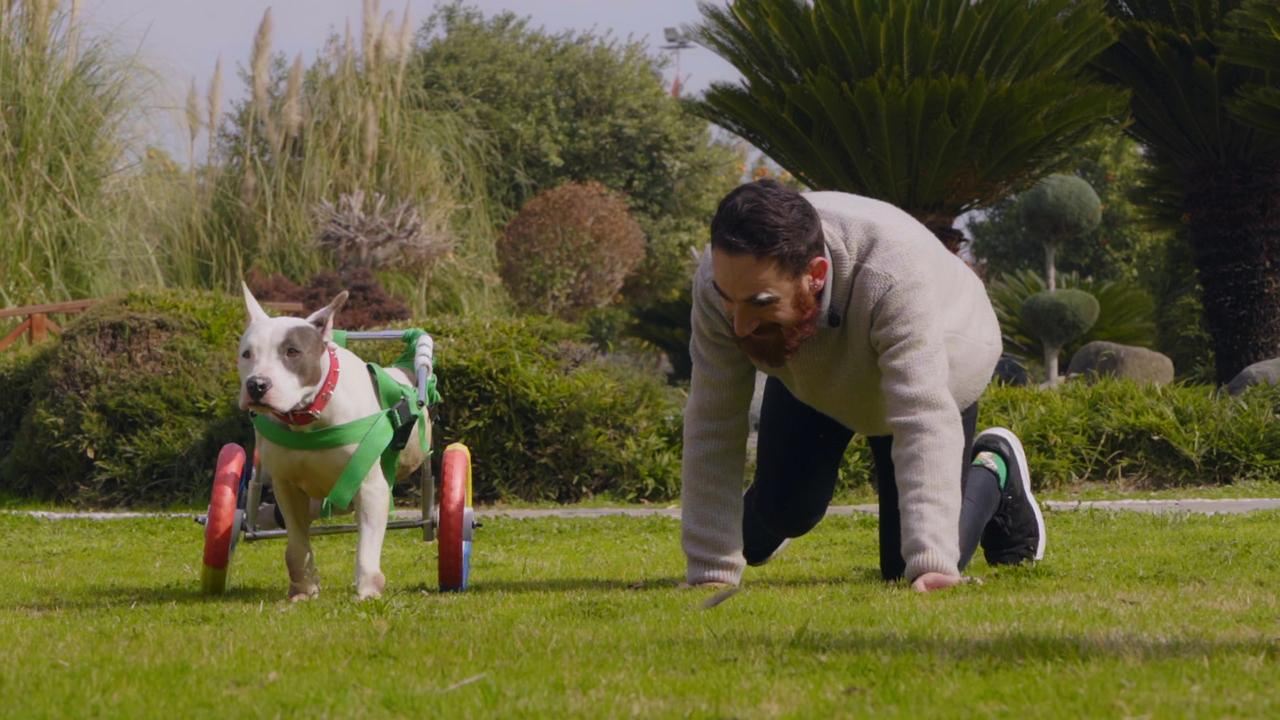 Bella mutlu sona kavuşuyor!