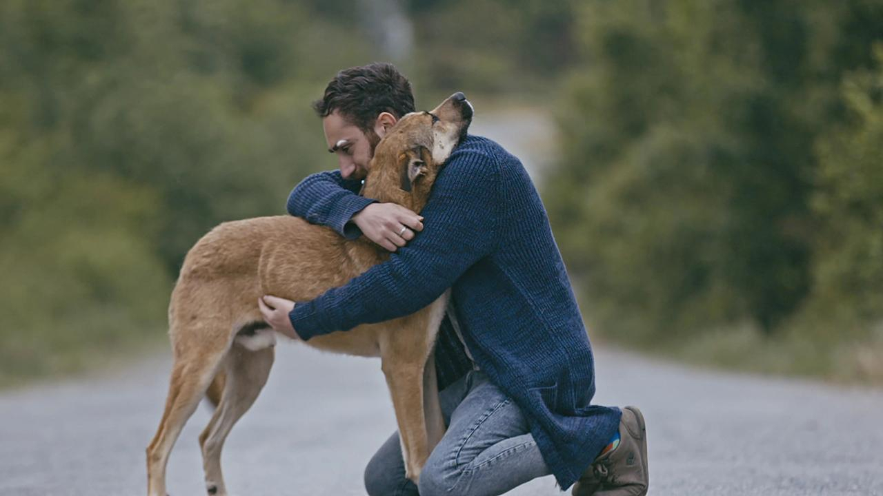 Sokak hayvanlarını unutmayın!