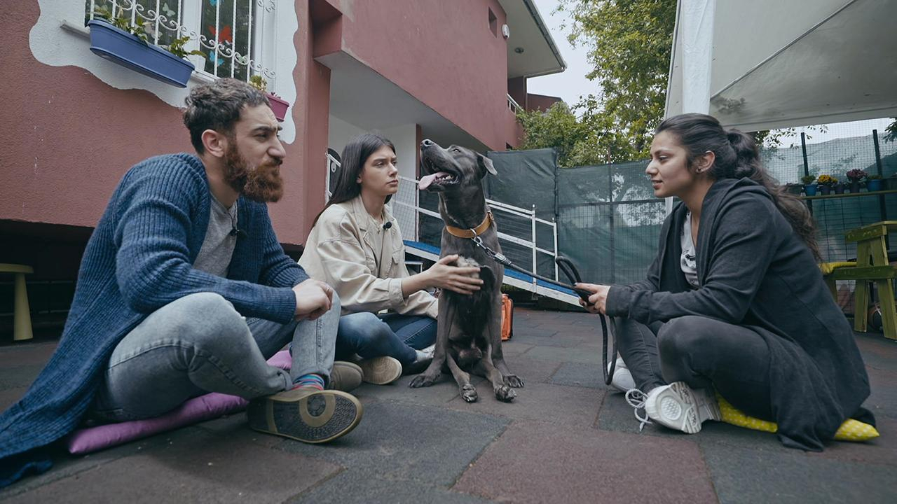 Herkül'ün bir garip hikayesi!