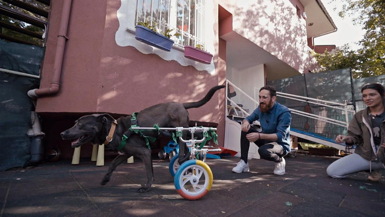 Herkül yürütecine uyum sağlıyor!