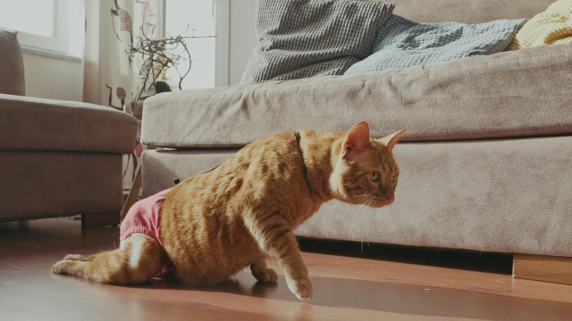 Hayat Tamircisi 8. Bölüm Fragmanı