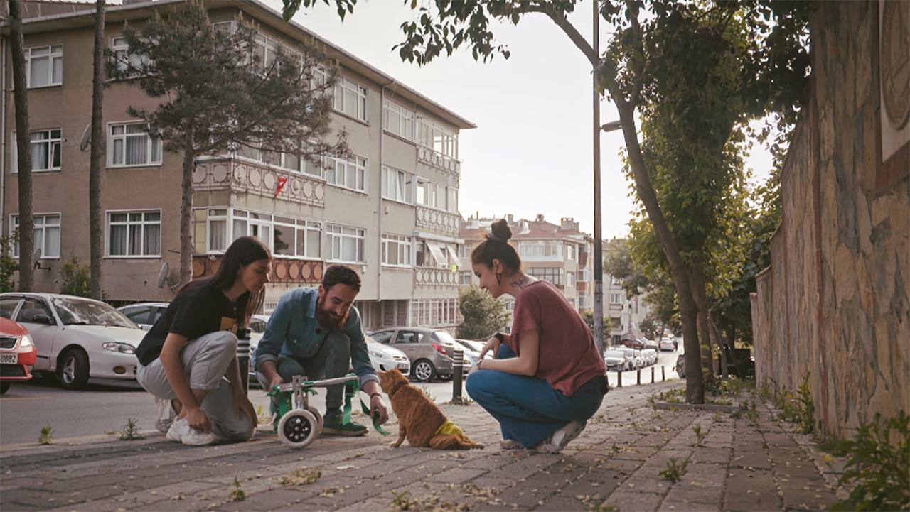Hayat Tamircisi 8. Bölüm / 31.05.2020