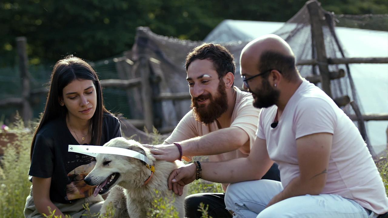 Hayat Tamircisi’nden köpek Işık’a siperlik!
