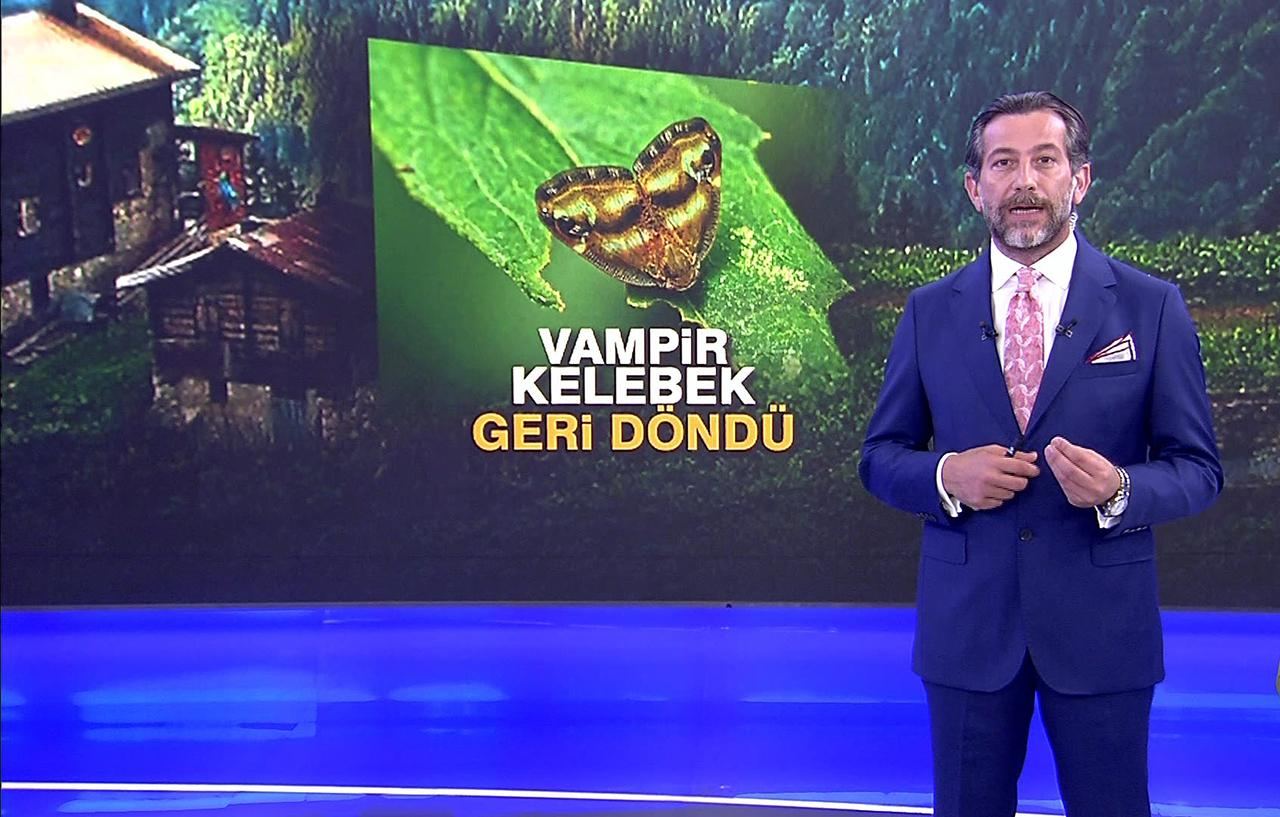Kanal D Ana Haber – 26.06.2020