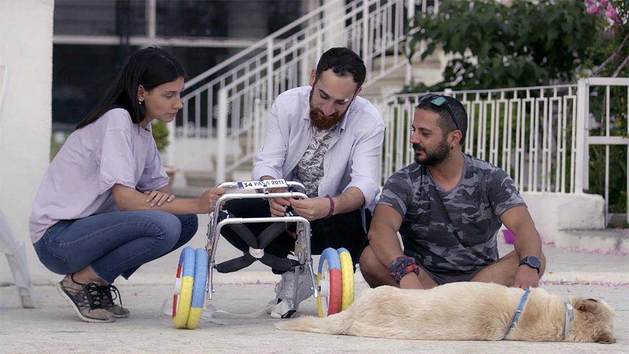 Hayat Tamircisi 12. Bölüm / 28.06.2020