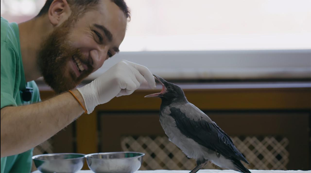 Hayat Tamircisi 13. Bölüm Fragmanı