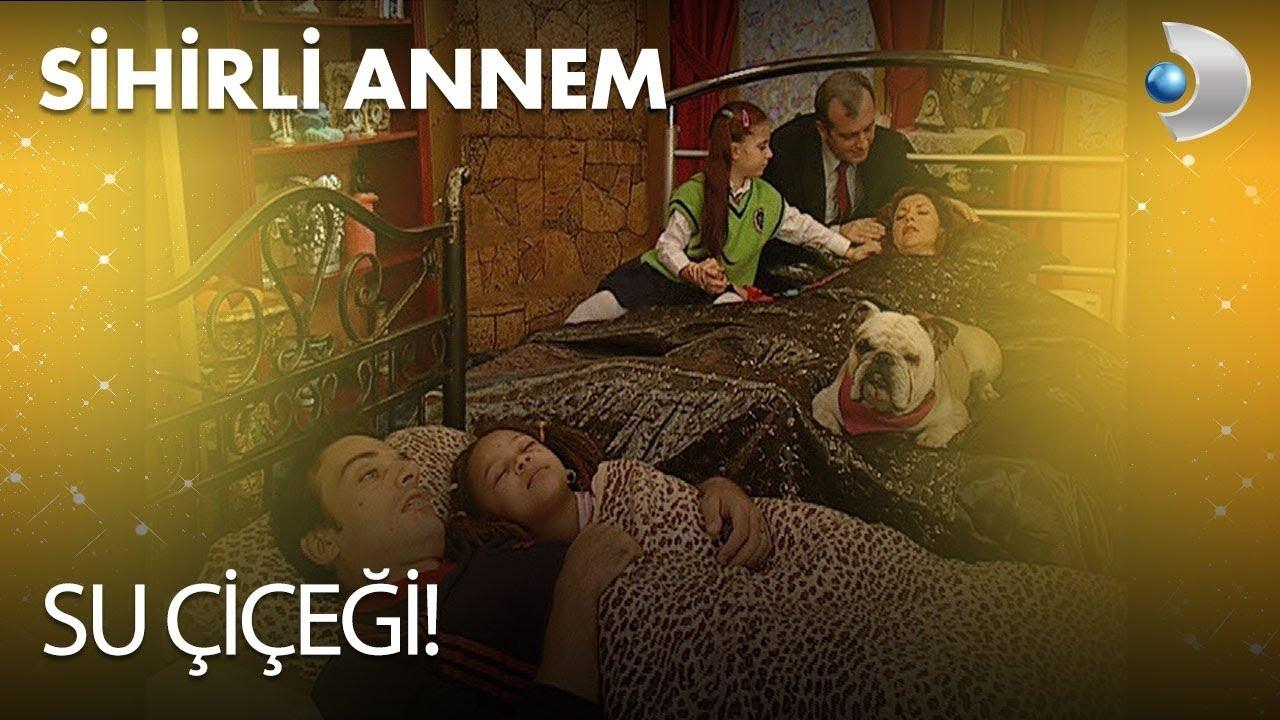 Su çiçeği!