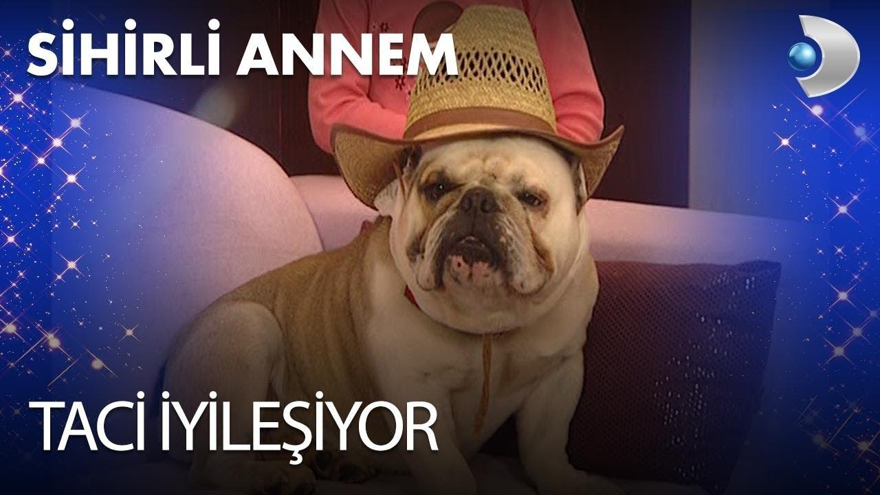 Taci iyileşiyor!