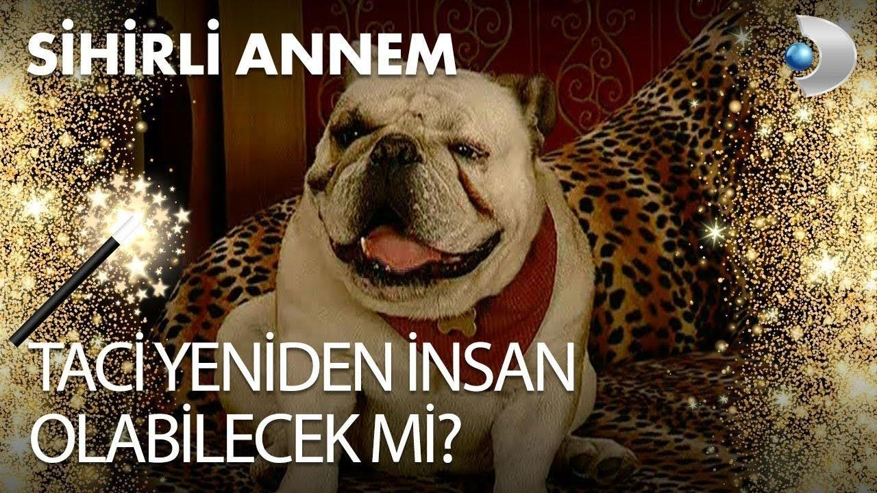 Taci yeniden insan olabilecek mi?