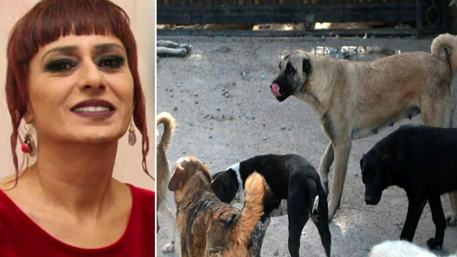 Yıldız Tilbe’ye tepkiler çığ gibi büyüyor!