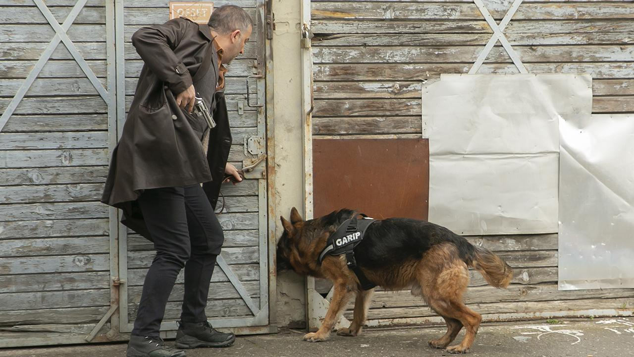 Arka Sokaklar 620. Bölüm