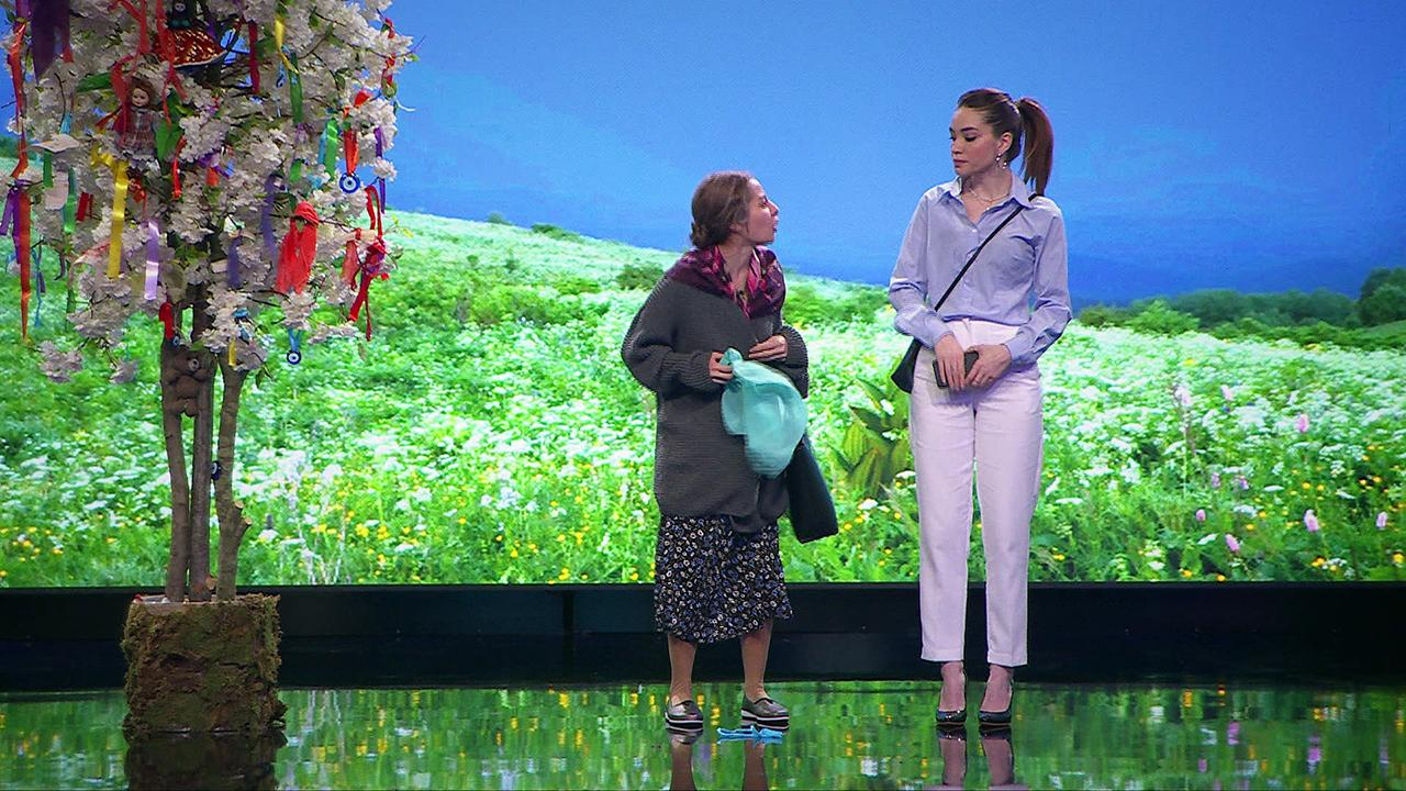 Dilek Ağacı Performansı