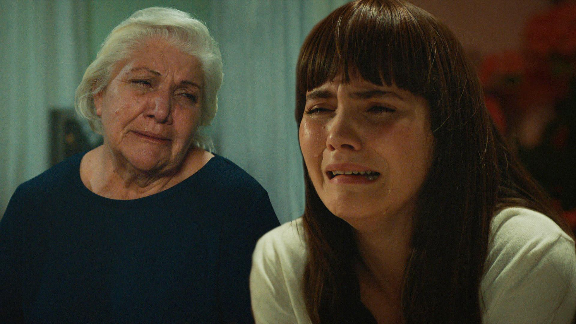 Ananesi, Dönüş'ü kabul etti mi?