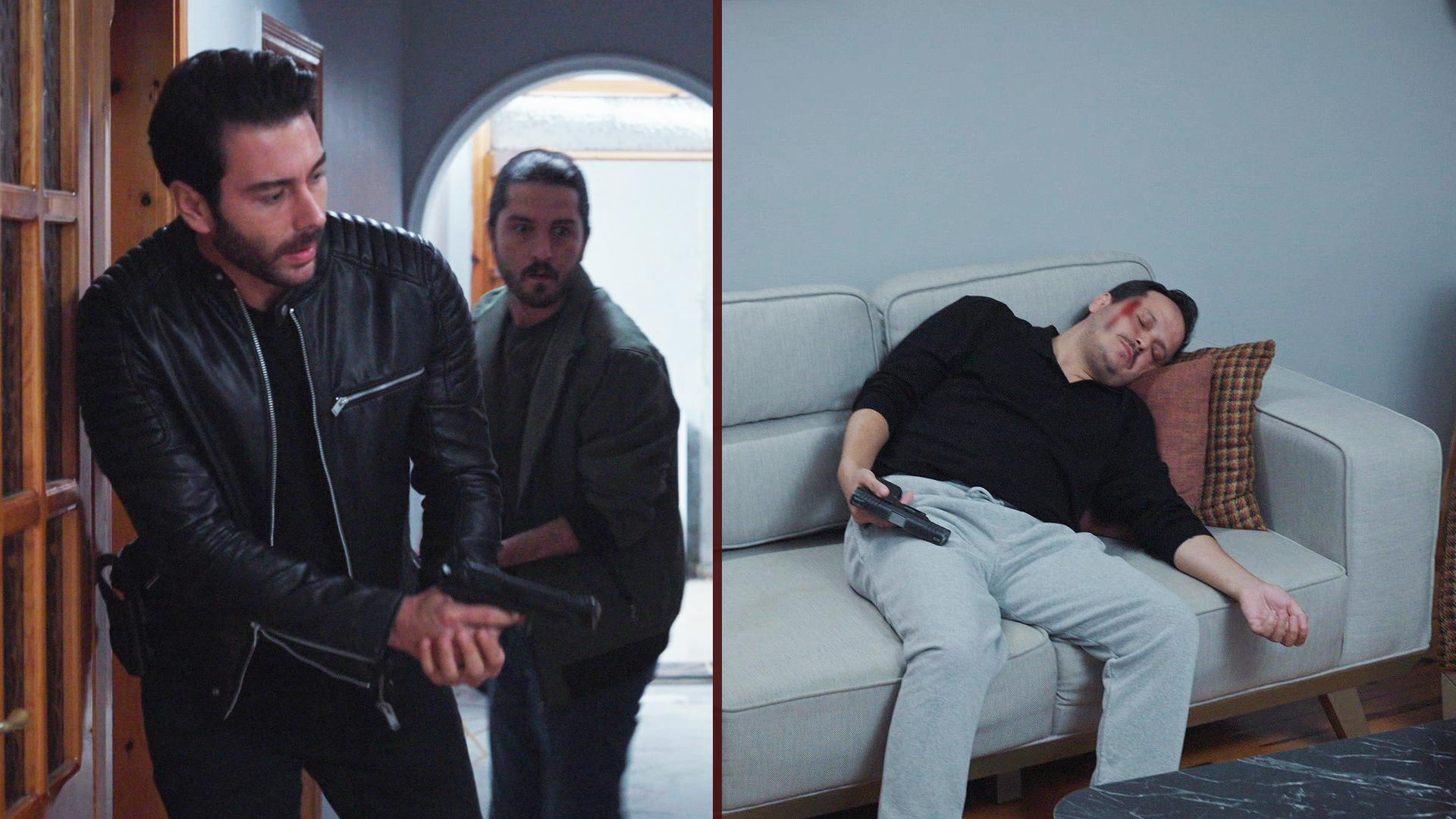 Köstebeğin acı sonu!