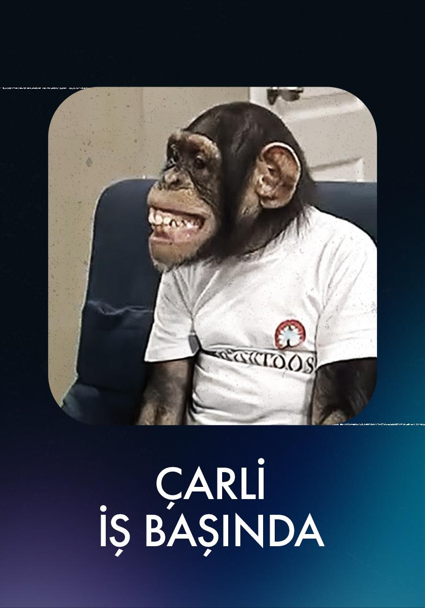 Çarli İş Başında