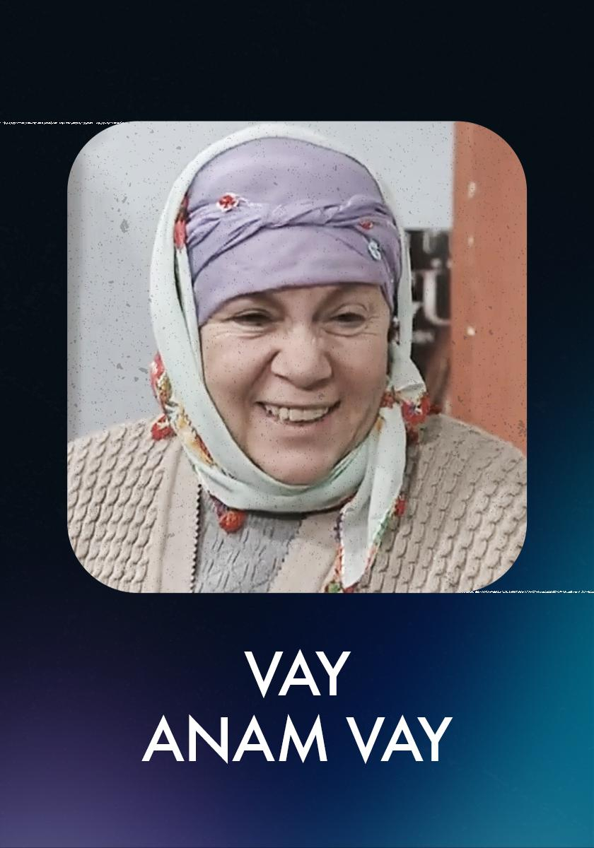 Vay Anam Vay