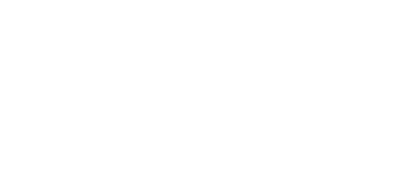 Artist Palas