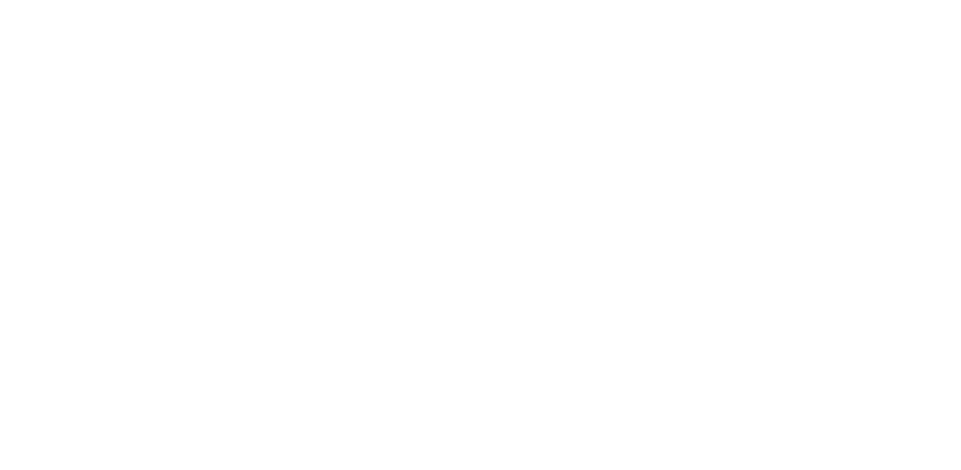 Çılgın Bediş