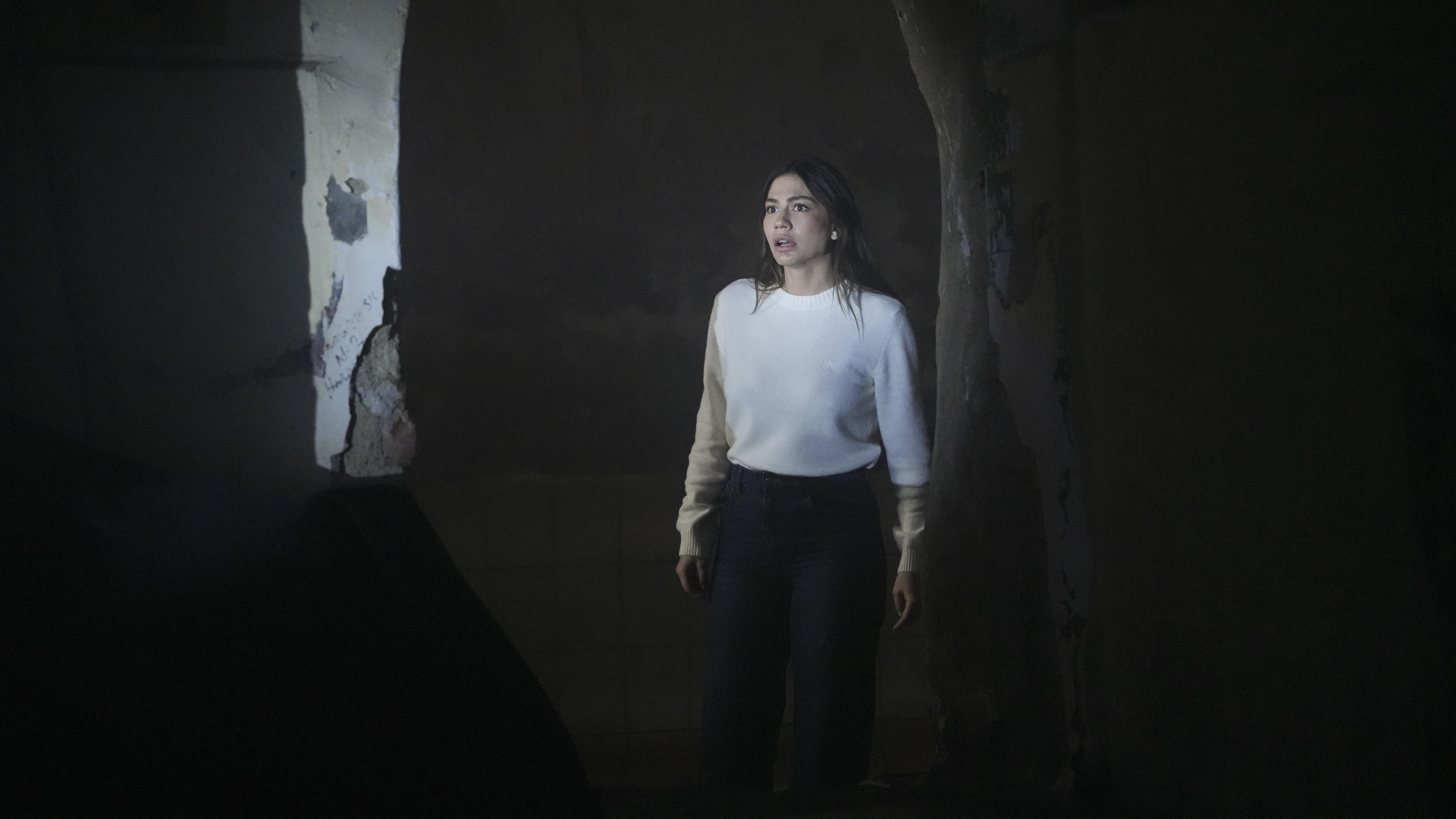 Sezen Aksu 'Rüya'sını yazdı!