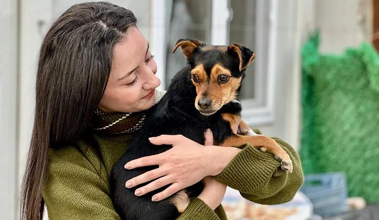 Ufacık köpeğiyle kocaman bir hikaye!