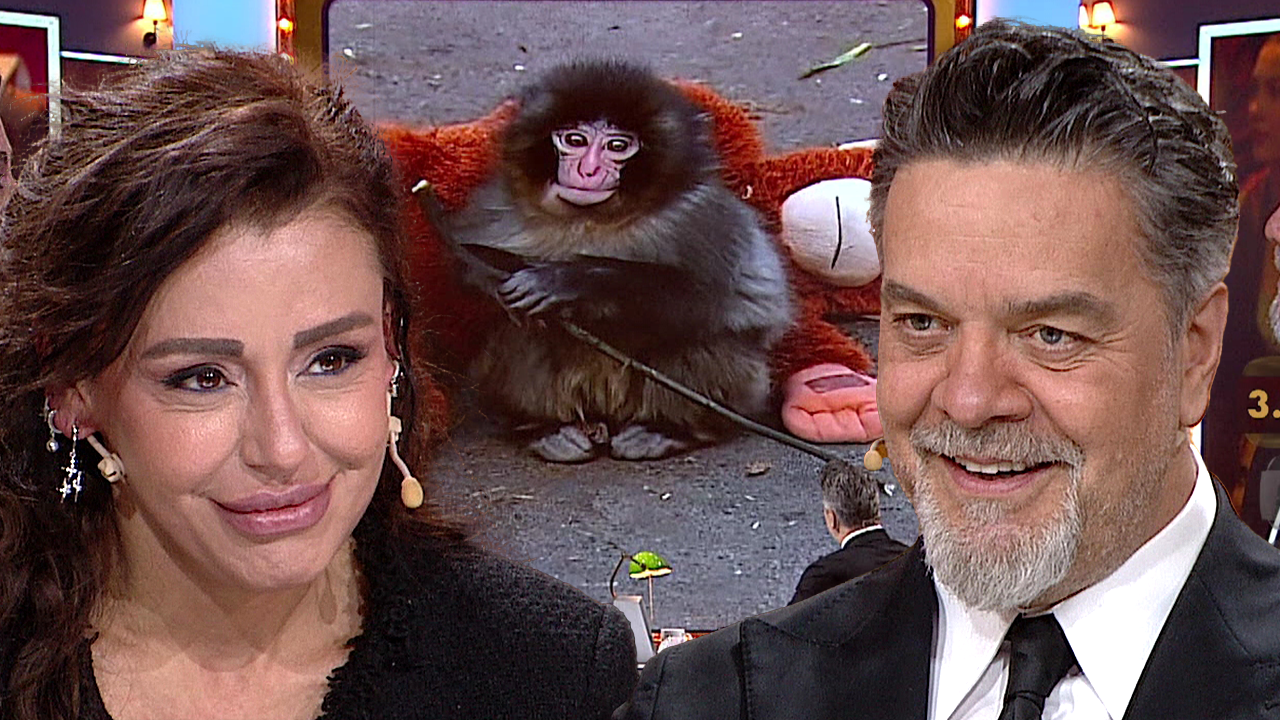 Maymun Punch, Beyaz'la Joker'de soru oldu!