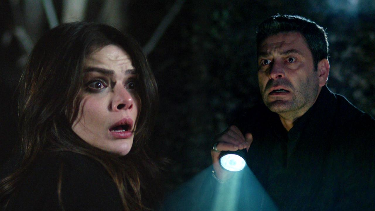 Alya ormanda kayboldu!