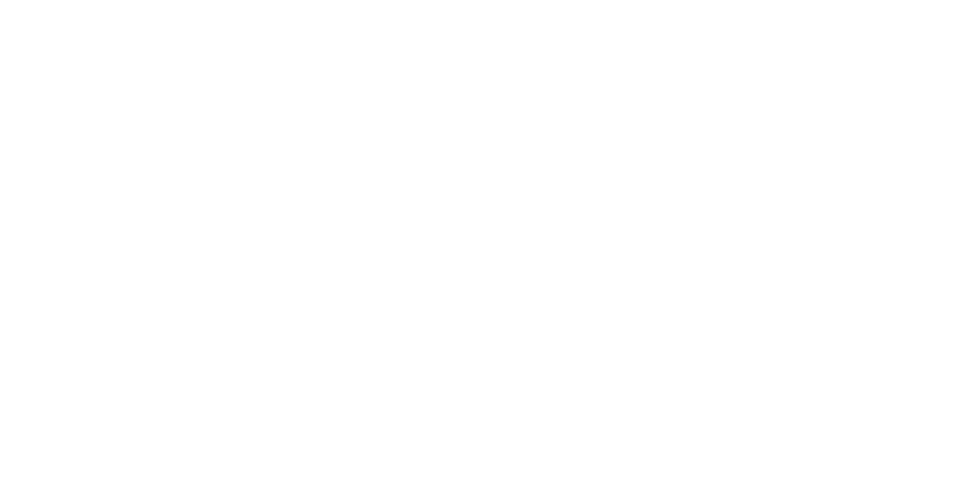 Sessiz Fırtına