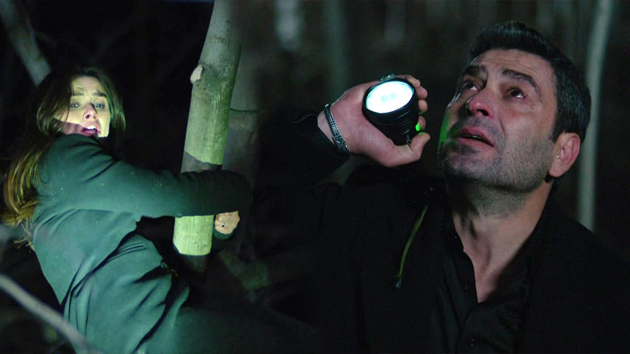 Cihan, Alya'yı buldu!