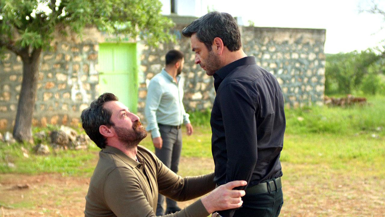 Boran, Cihan'a yalvardı!