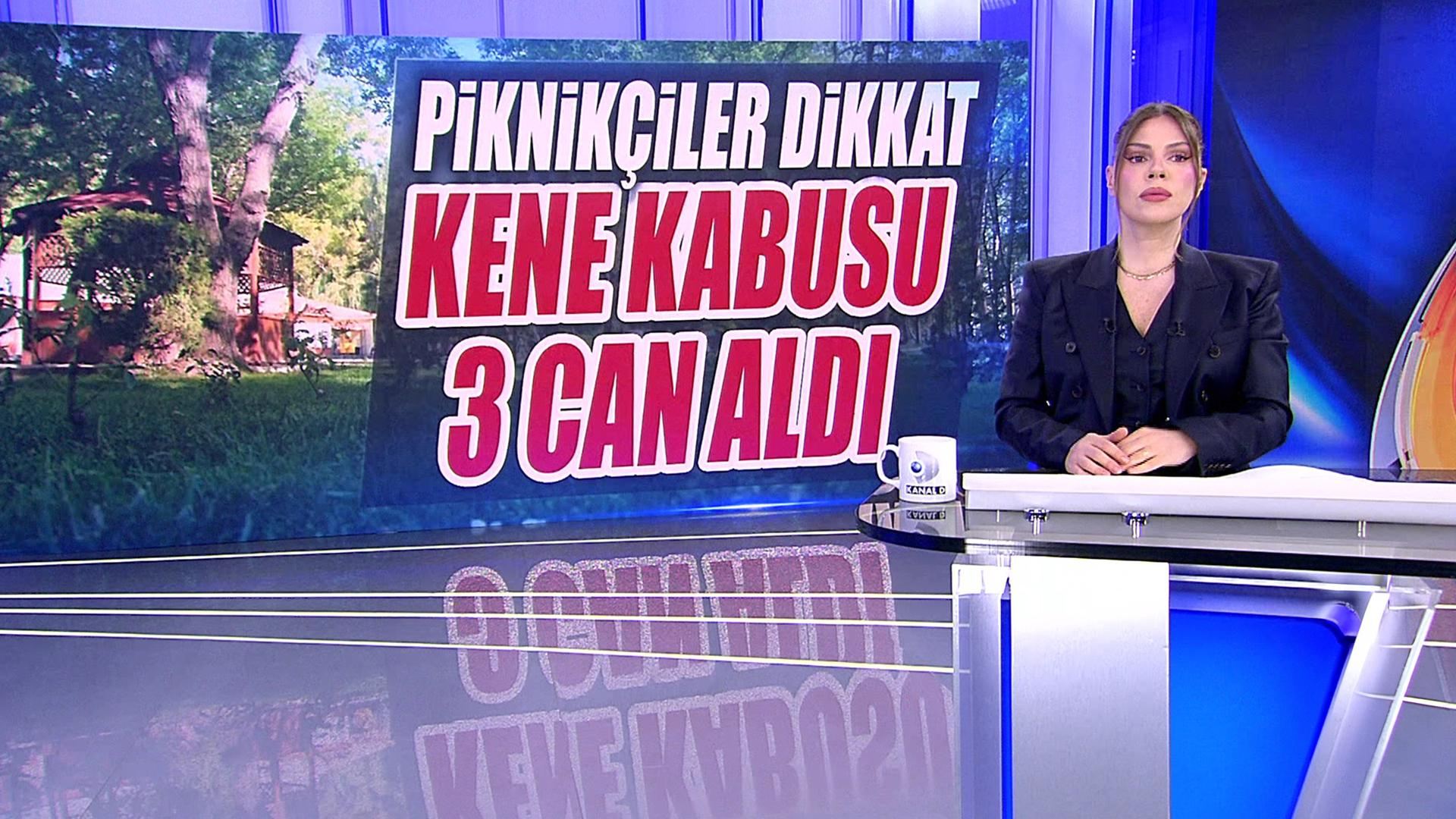 Kene kabusu 3 can aldı!